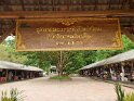 Laos (134)