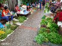 Laos (173)