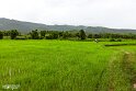 Laos (441)