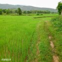 Laos (443)