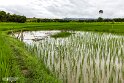 Laos (451)