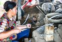 Laos (464)