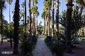 Marrakech (37)