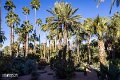 Marrakech (40)