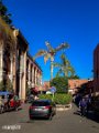 Marrakesh (32)
