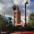 Marrakesh (9)