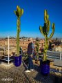 Marrakech (9)