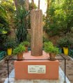 Marrakesh (14)