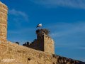 Rabat (10)