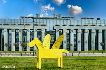 Polen (62)