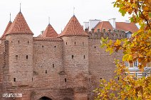 Polen (75)