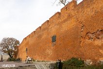 Polen (91)