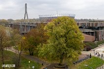 Polen (119)