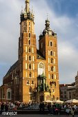 Polen (140)