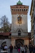 Polen (146)