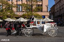 Polen (163)