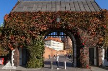 Polen (170)