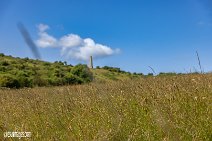 Isle of Wight (4)