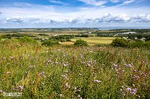 Isle of Wight (6)