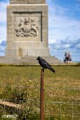 Isle of Wight (9)