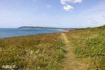 Isle of Wight (11)