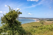 Isle of Wight (17)