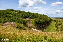 Isle of Wight (19)