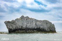 Isle of Wight (27)