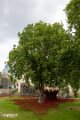 London (5)