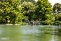 Kew (2)