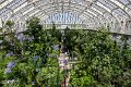 Kew (14)