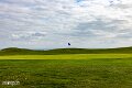 Isle of Wight (2)