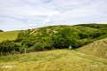 Isle of Wight (9)