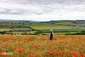 Isle of Wight (18)