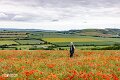 Isle of Wight (19)