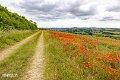 Isle of Wight (23)