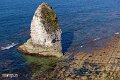 Isle of Wight (33)
