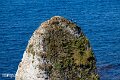 Isle of Wight (34)