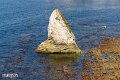 Isle of Wight (35)