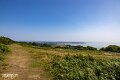 Bonchurch (4)