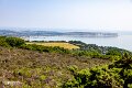 Bonchurch (6)